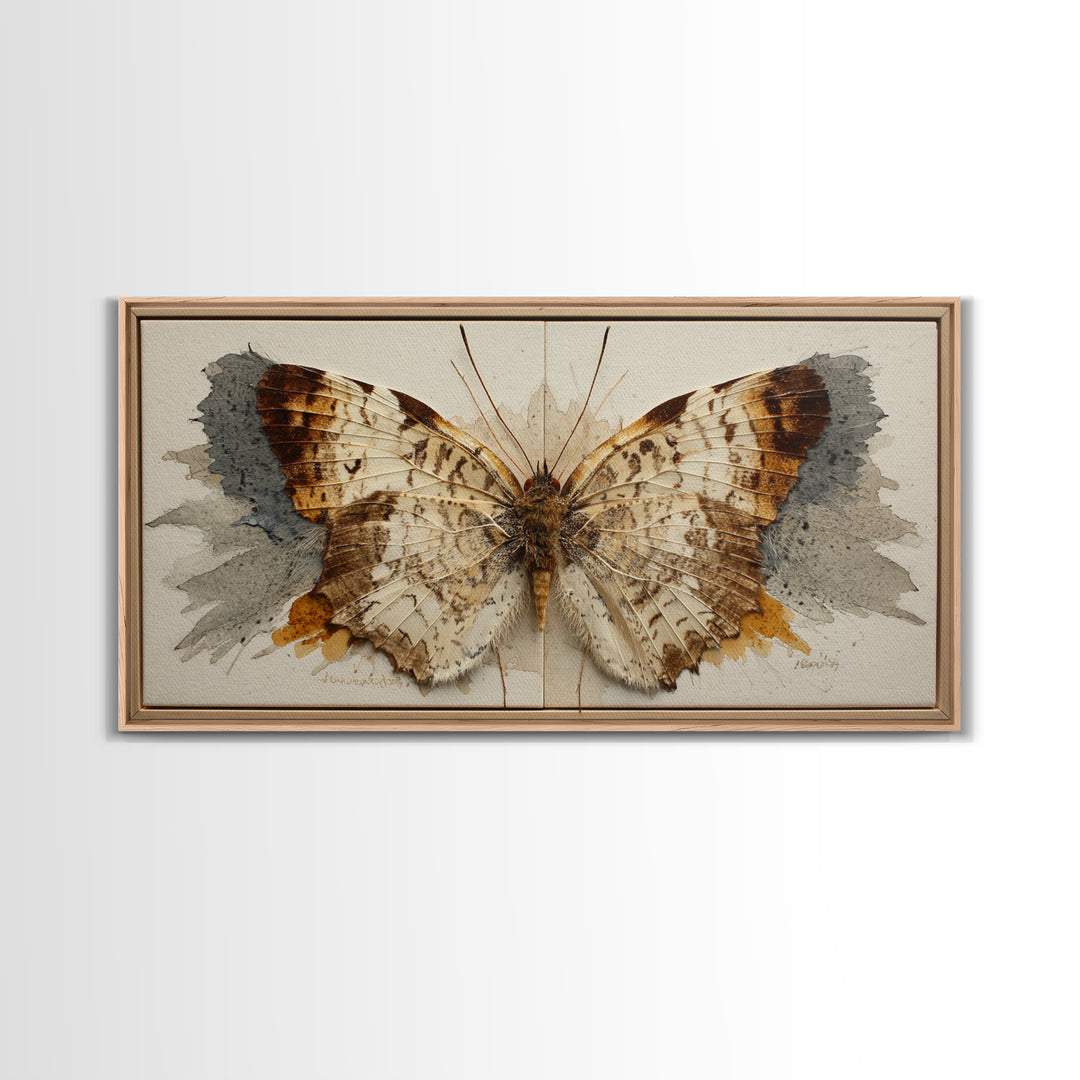 Butterfly Specimen Composition Framed Canvas Print, Animal Art, Digital Prints, Living Room Decor, Fine Art, Creature, ANI-2x1-43
