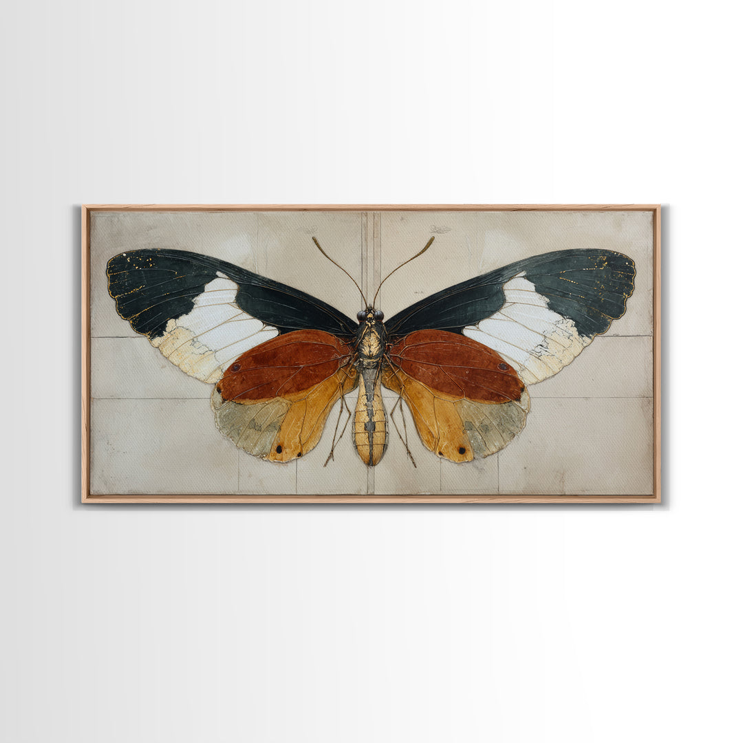 Butterfly Specimen Composition Framed Canvas Print, Animal Art, Digital Art, Living Room Decor, Creature, Farmhouse Decor, ANI-2x1-91