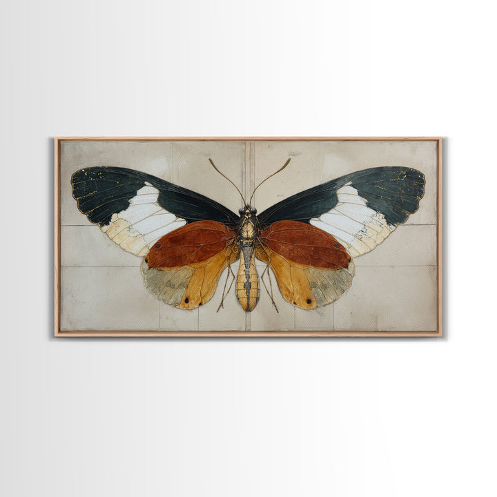 Butterfly Specimen Composition Framed Canvas Print, Animal Art, Digital Art, Living Room Decor, Creature, Farmhouse Decor, ANI-2x1-91