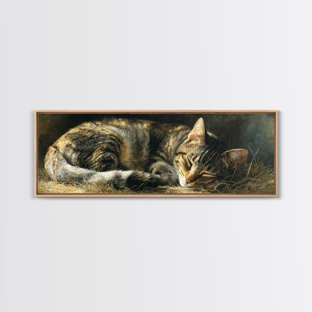 Sleeping Cat Curled Framed Canvas Print, Animal Art, Room Decor, Living Room Decor, Abstract Art, Creature, Printable, ANI-3x1-52