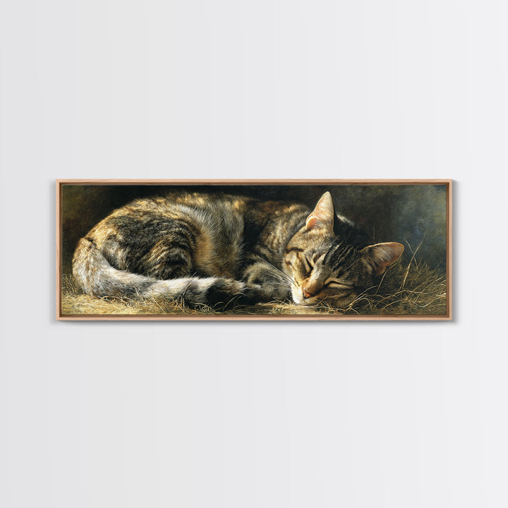 Sleeping Cat Curled Framed Canvas Print, Animal Art, Room Decor, Living Room Decor, Abstract Art, Creature, Printable, ANI-3x1-52