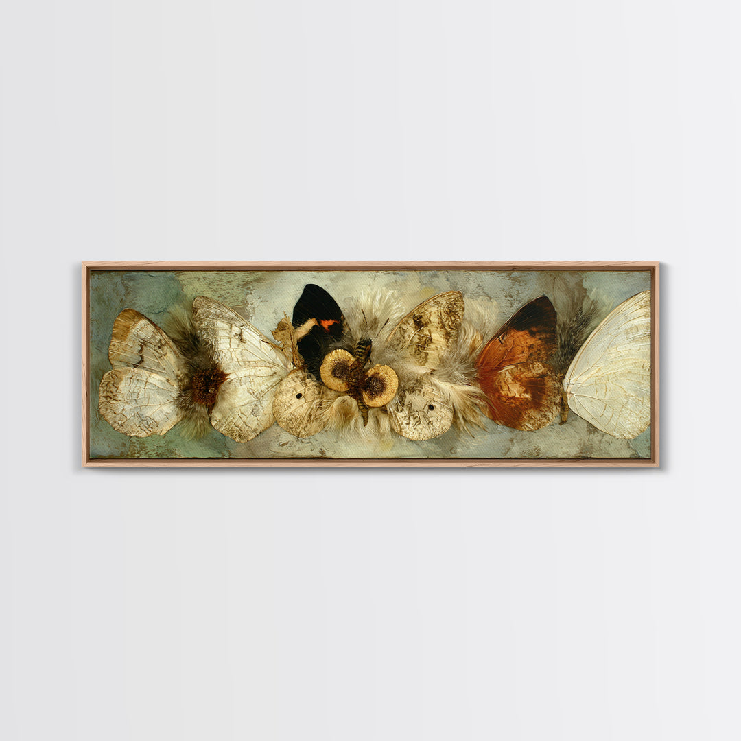 Butterfly Specimen Composition Framed Canvas Print, Animal Art, Digital Art, Living Room Decor, Creature, Farmhouse Decor, ANI-3x1-87
