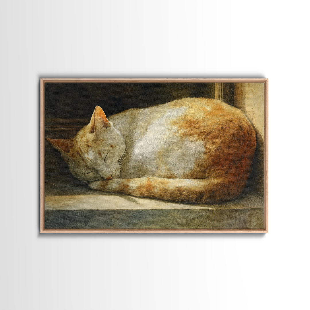 Sleeping Cat Curled Framed Canvas Print, Animal Art, Gallery Decor, Living Room Decor, Abstract Art, Creature, Contemporary Art, ANI-3x2-64