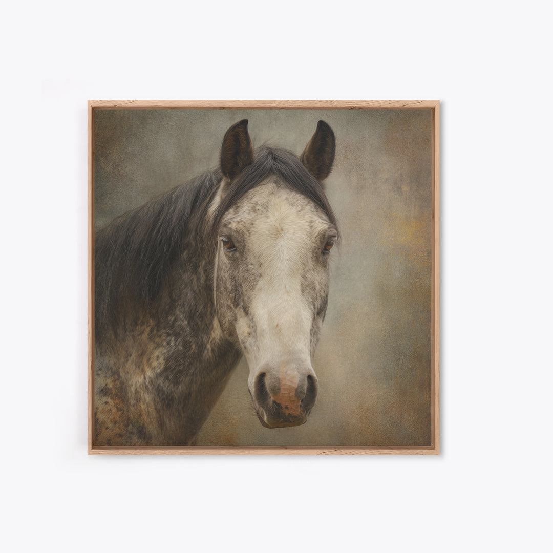 Elegant Animal Portrait Canvas Print, Art, Printable Art, Living Room Decor, Fine Art, Statement Artwork, Boho Decor, ART-1x1-90