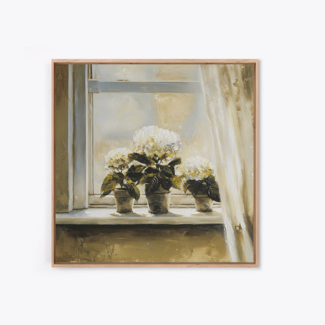 Sunlit Hydrangeas on a Windowsill Canvas Print, Bed and Breakfast Art, Trendy Wall Art, Living Room Decor, Fine Art, BAB-1x1-10