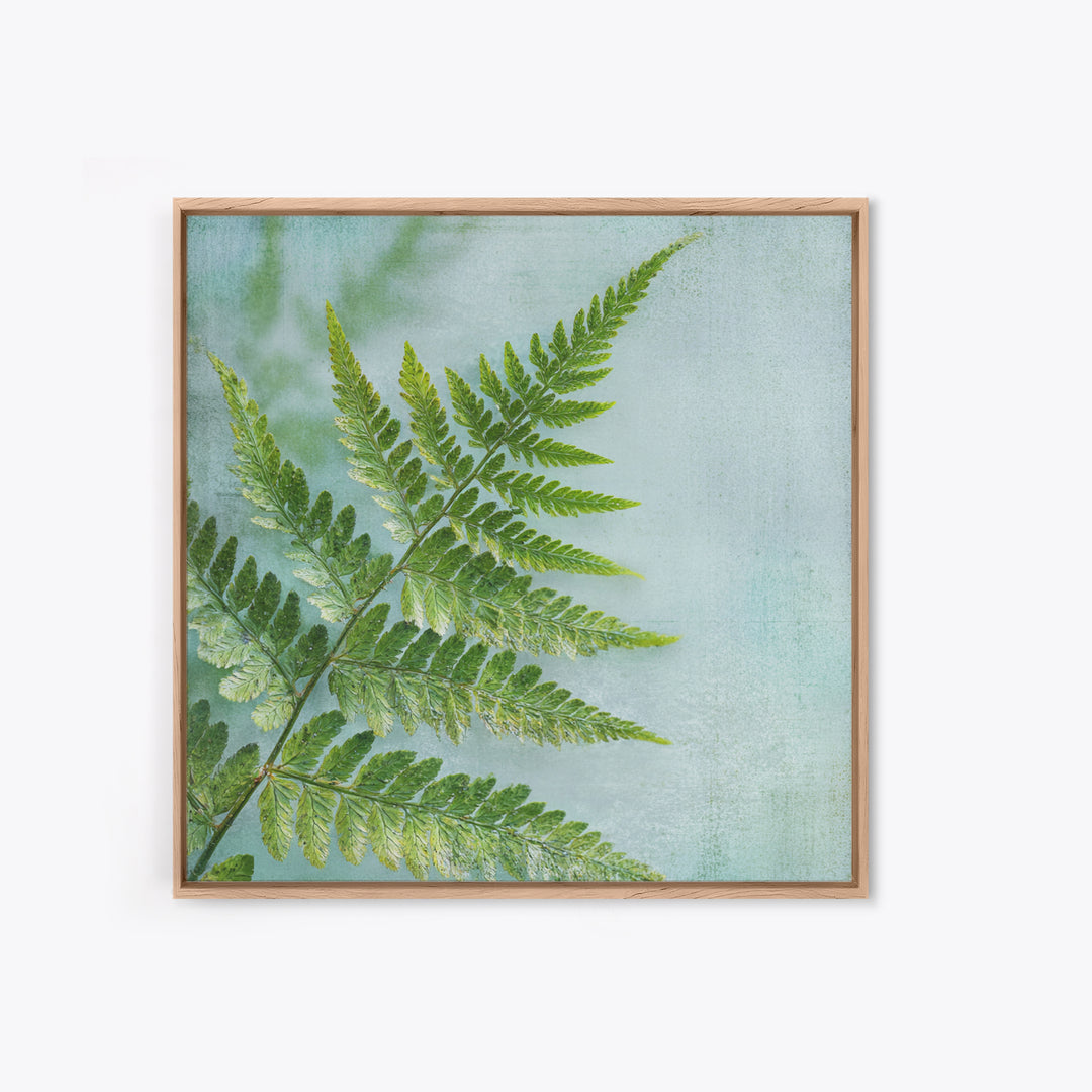 Green Fern Frond Closeup Canvas Print, Bathroom Art, Bathroom Prints, Bathroom Decor, Fine Art, Spa, Trendy Wall Art, BAT-1x1-10