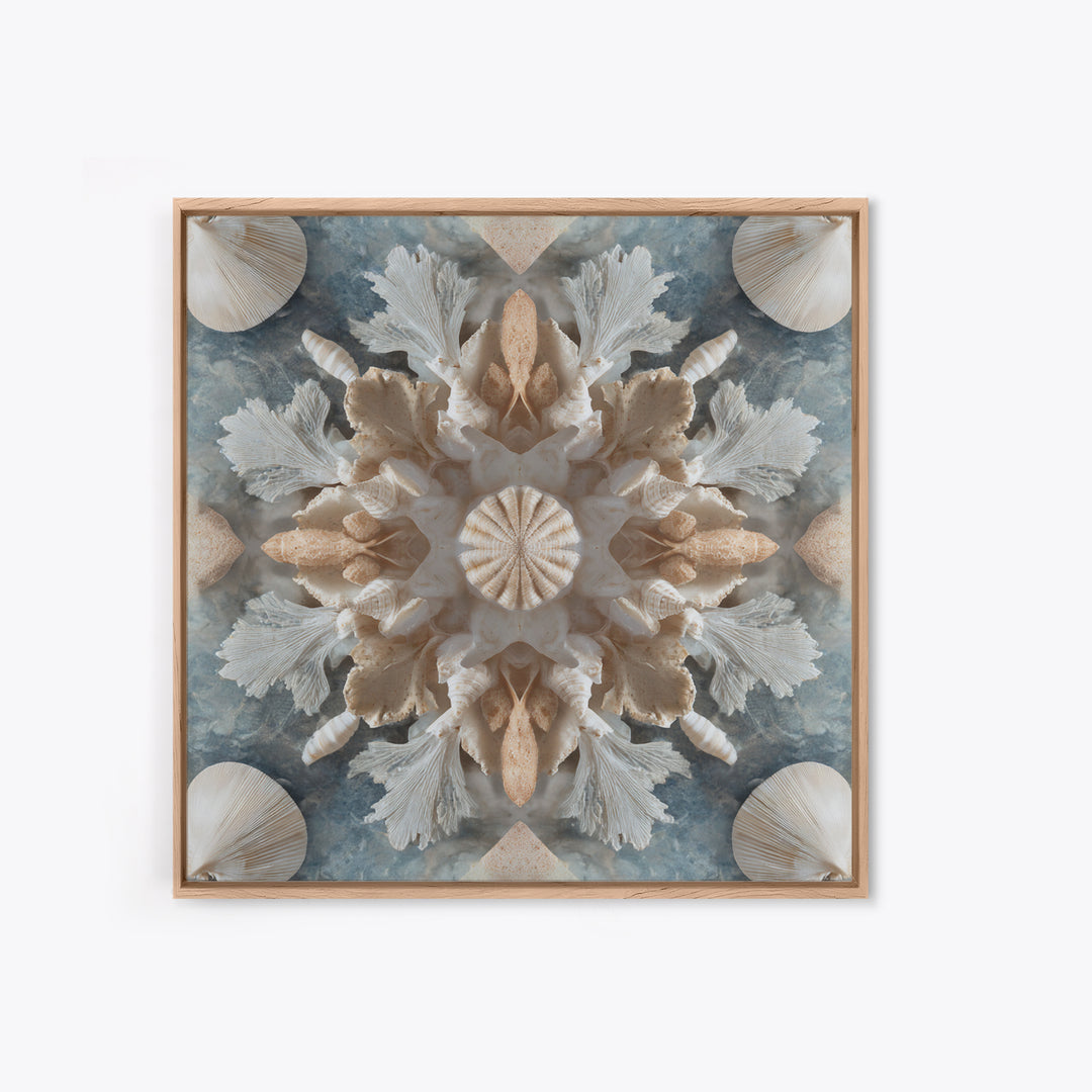 Coral and Shell Arrangement Framed Canvas Print, Bathroom Art, Bathroom Decor, Fine Art, Spa, Bathroom Accessories, Modern Art, BAT-1x1-11