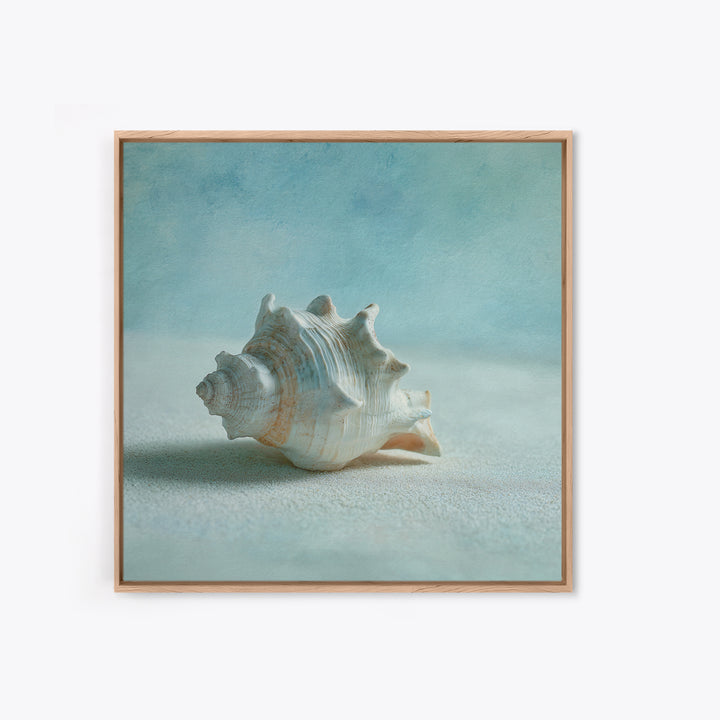 Minimal Seashell Still Life on Pale Sand Canvas Print, Bathroom Art, Custom Pet Portrait, Bathroom Decor, Abstract Art, Spa, BAT-1x1-3