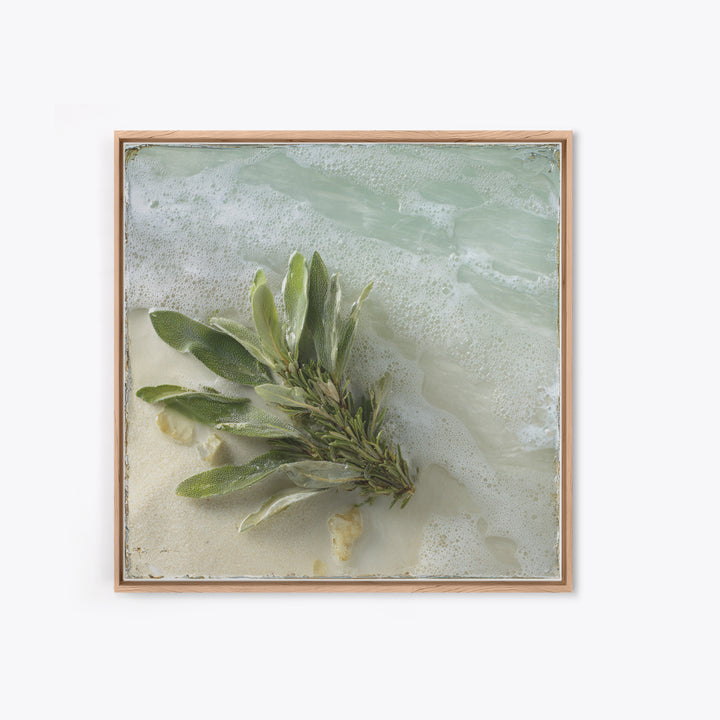 Botanical Bath Herb Arrangement Framed Canvas Print, Bathroom Art, Minimalist Wall Art, Bathroom Decor, Oil Painting, Spa, BAT-1x1-41