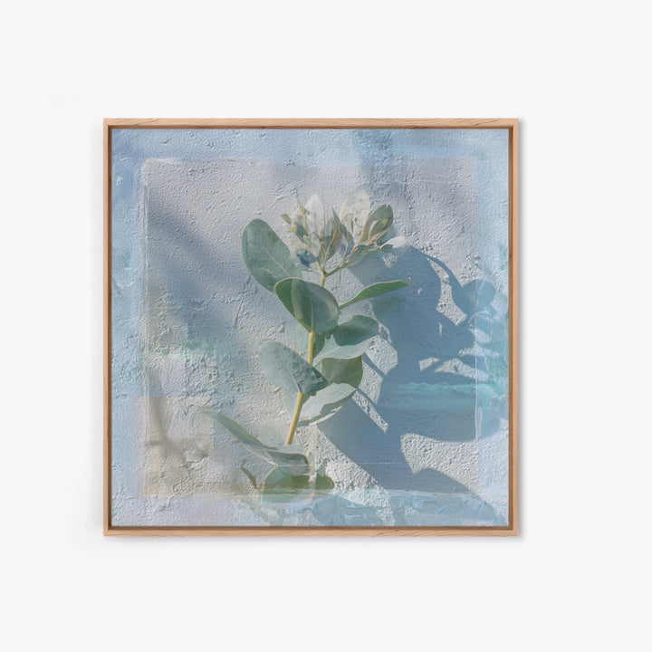 Sunlit Window Plant Shadow on Plaster Framed Canvas Print, Bathroom Art, Unique Wall Art, Bathroom Decor, Abstract Art, Spa, BAT-1x1-42