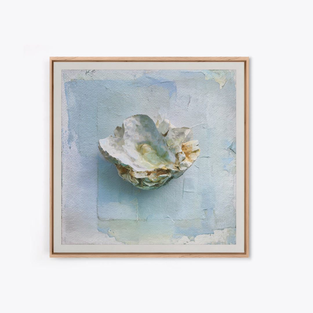 Oyster Shell Study Framed Canvas Print, Bathroom Art, Modern Wall Art, Bathroom Decor, Fine Art, Spa, Wall Decor, Neutral Decor, BAT-1x1-46