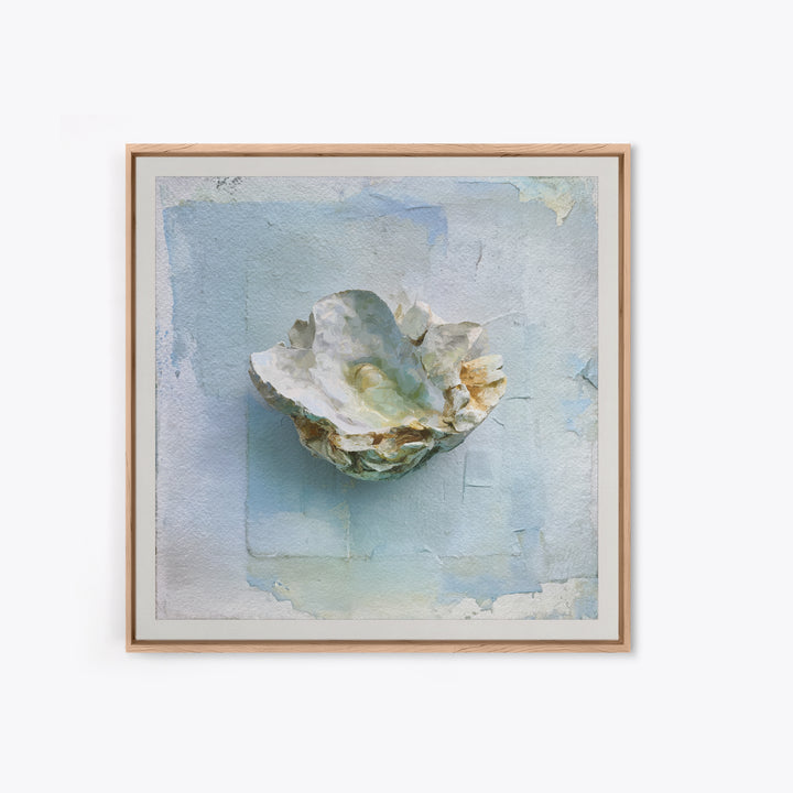 Oyster Shell Study Framed Canvas Print, Bathroom Art, Modern Wall Art, Bathroom Decor, Fine Art, Spa, Wall Decor, Neutral Decor, BAT-1x1-46