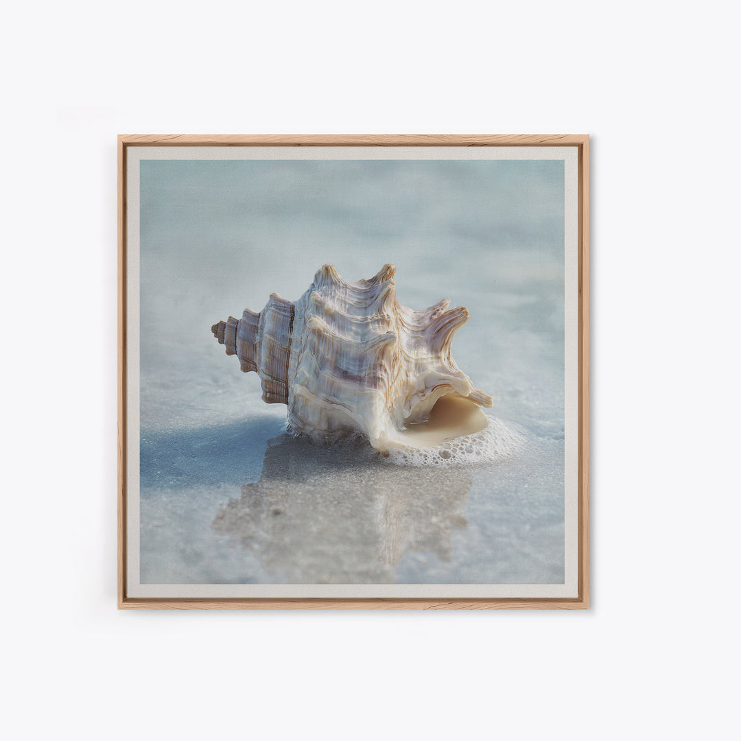 Minimal Seashell Still Life on Pale Sand Framed Canvas Print, Bathroom Art, Minimalist Wall Art, Bathroom Decor, Oil Painting, BAT-1x1-51
