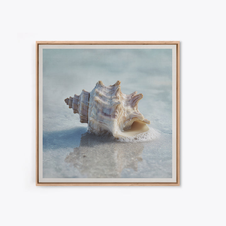 Minimal Seashell Still Life on Pale Sand Framed Canvas Print, Bathroom Art, Minimalist Wall Art, Bathroom Decor, Oil Painting, BAT-1x1-51