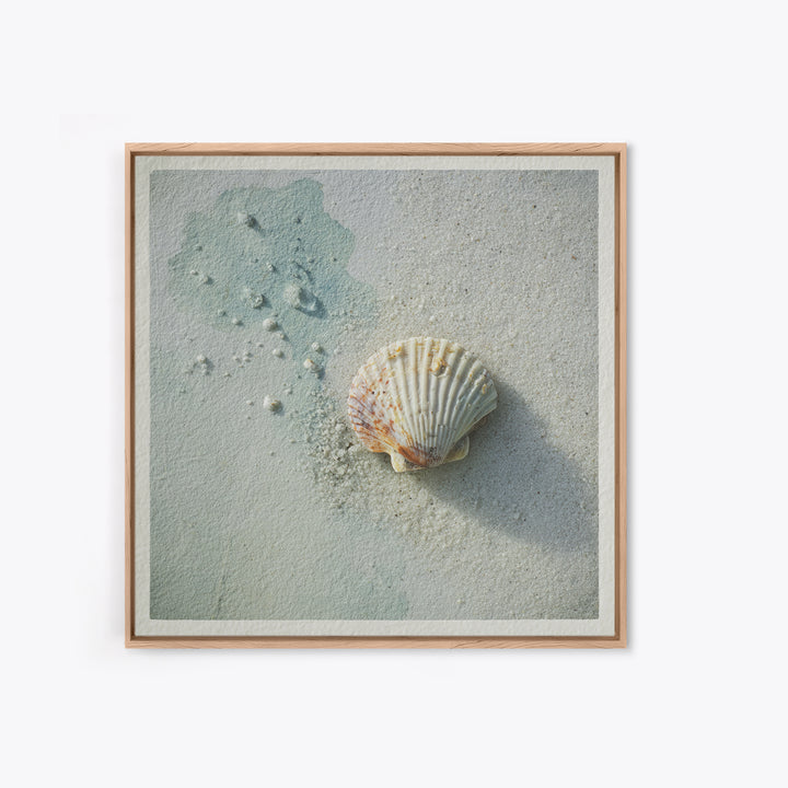 Minimal Seashell Still Life on Pale Sand Canvas Print, Bathroom Art, Gallery Decor, Bathroom Decor, Spa, Minimalist Decor, BAT-1x1-75