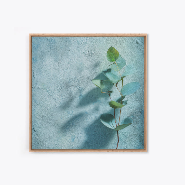 Sunlit Window Plant Shadow on Plaster Canvas Print, Bathroom Art, Bathroom Art Decor, Bathroom Decor, Fine Art, Spa, Boho Decor, BAT-1x1-90