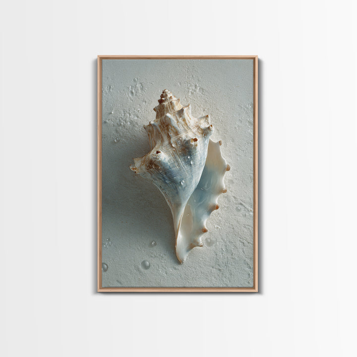 Minimal Seashell Still Life on Pale Sand Canvas Print, Bathroom Art, Modern Wall Art, Bathroom Decor, Abstract Art, Spa, BAT-2x3-11