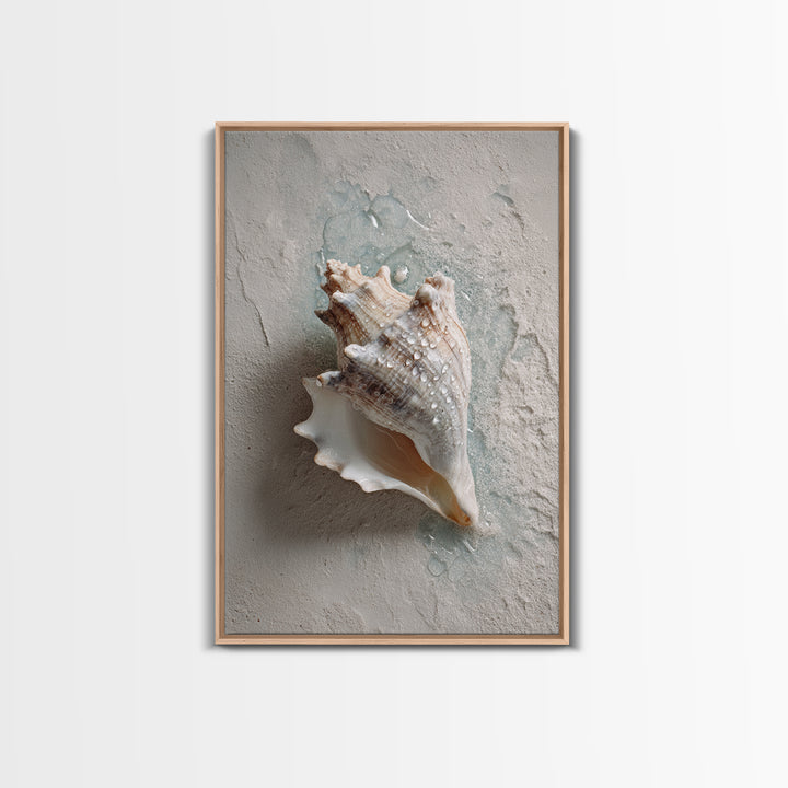 Minimal Seashell Still Life on Pale Sand Framed Canvas Print, Bathroom Art, Boho Decor, Bathroom Decor, Oil Painting, Spa, BAT-2x3-59