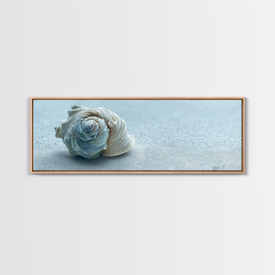 Minimal Seashell Still Life on Pale Sand Canvas Print, Bathroom Art, Bathroom Print, Bathroom Decor, Fine Art, Spa, BAT-3x1-91