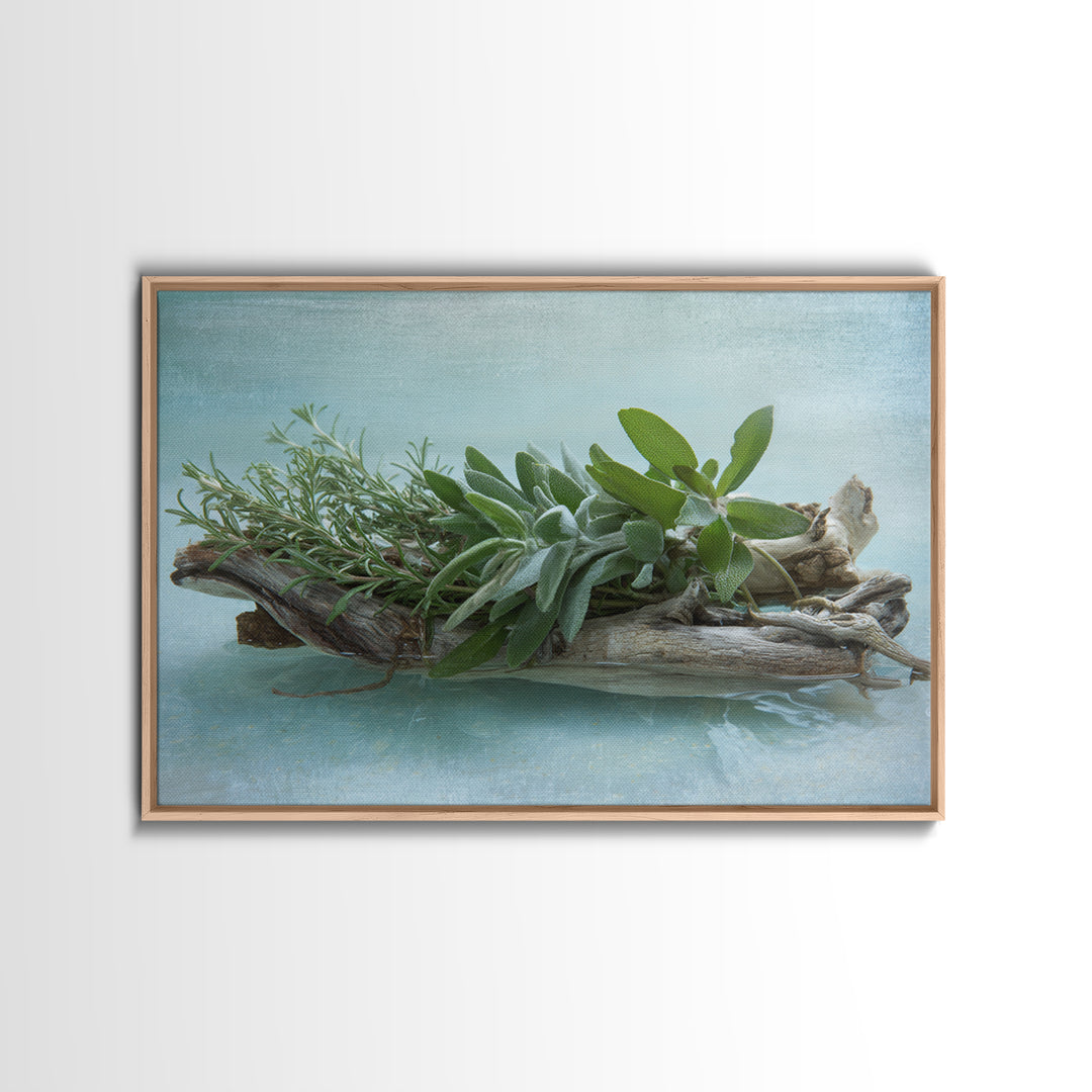 Botanical Bath Herb Arrangement Canvas Print, Bathroom Art, Bathroom Decor, Fine Art, Spa, Bathroom Accessories, Modern Art, BAT-3x2-21