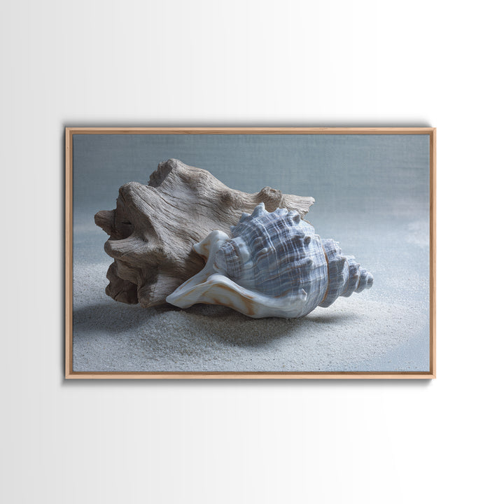 Minimal Seashell Still Life on Pale Sand Framed Canvas Print, Bathroom Art, Canvas Wall Art, Bathroom Decor, Fine Art, Spa, BAT-3x2-31