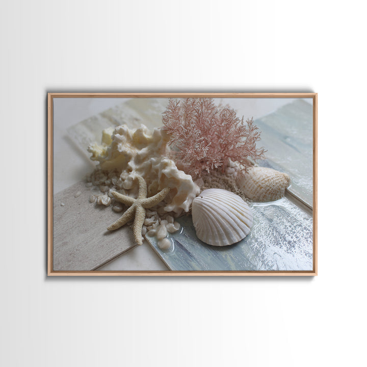 Coral and Shell Arrangement Framed Canvas Print, Bathroom Art, Retro Wall Art, Bathroom Decor, Fine Art, Spa, Modern Decor, BAT-3x2-39