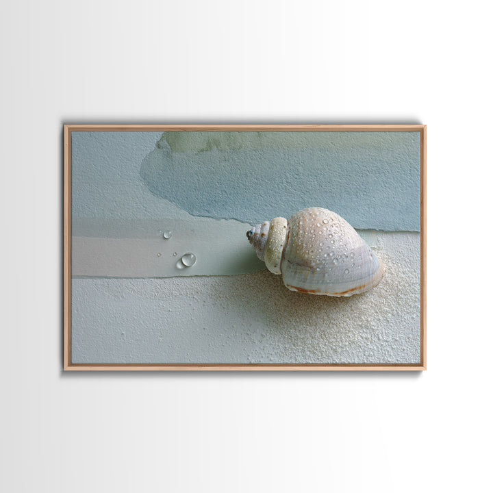 Minimal Seashell Still Life on Pale Sand Framed Canvas Print, Bathroom Art, Statement Artwork, Bathroom Decor, Abstract Art, BAT-3x2-7