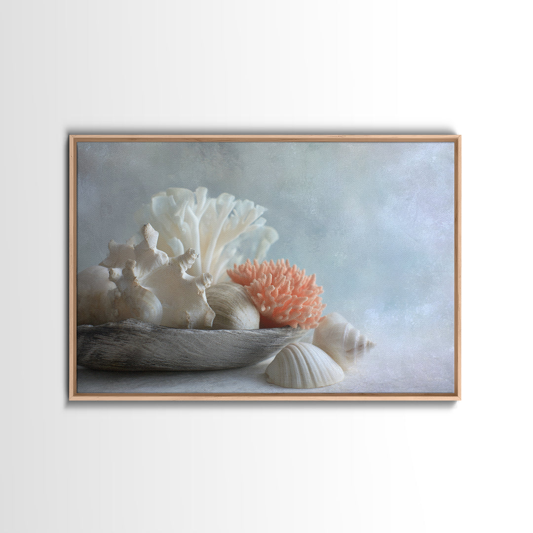 Coral and Shell Arrangement Framed Canvas Print, Bathroom Art, Bathroom Accessories, Bathroom Decor, Spa, Fine Art Print, BAT-3x2-87