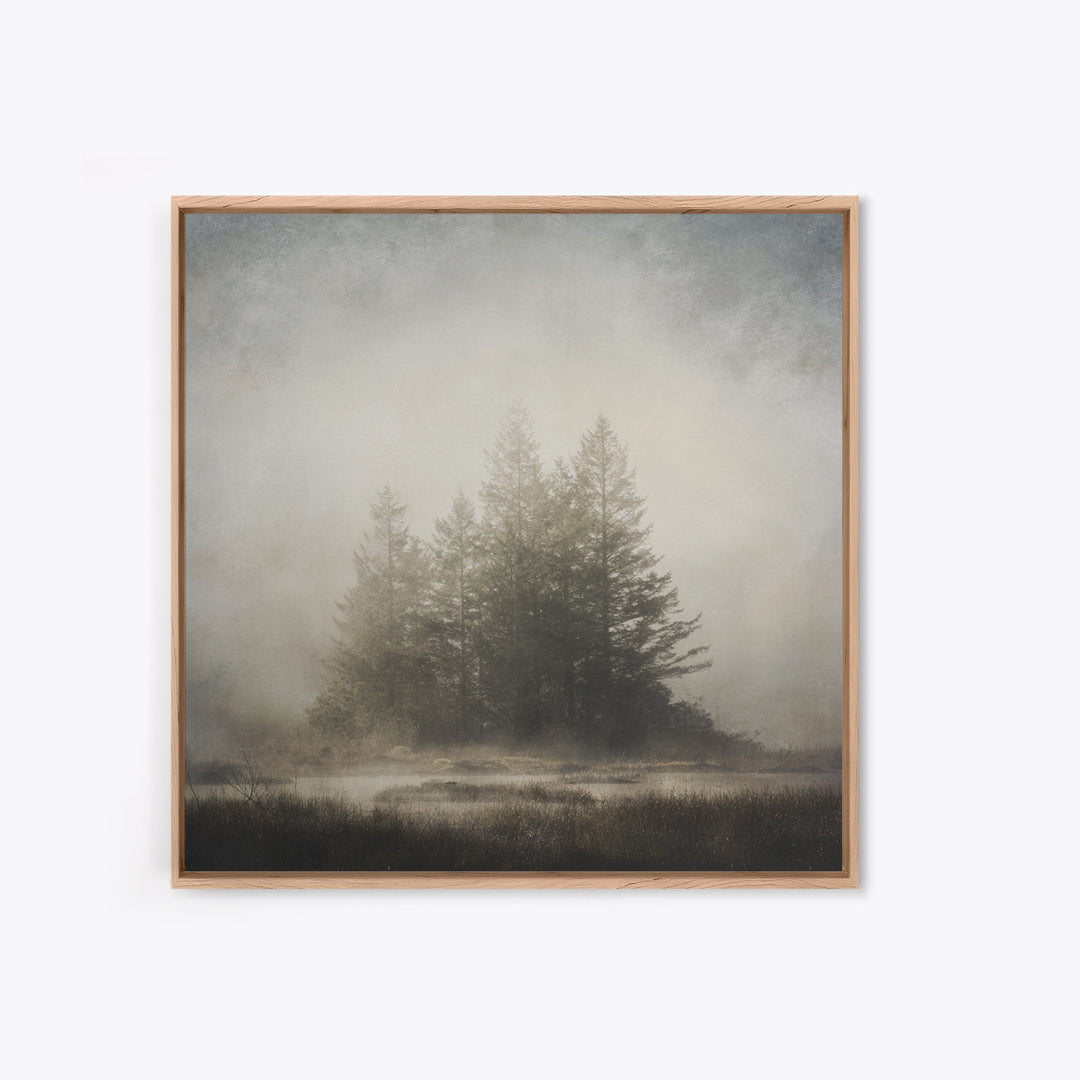 Moody Foggy Forest Canvas Print, Black and White Art, Printable Art, Living Room Decor, Fine Art, Monochrome, Gallery Decor, BAW-1x1-31