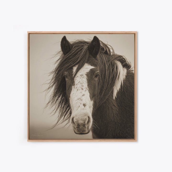 Black and White Wild Horse Portrait Framed Canvas Print, Black and White Art, Textured Painting, Living Room Decor, Monochrome, BAW-1x1-53