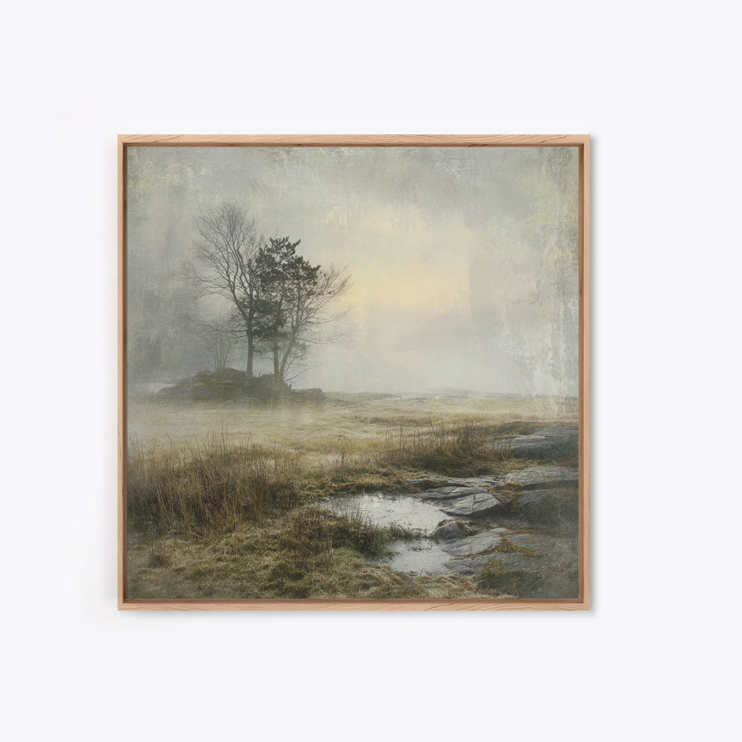 Moody Foggy Forest Framed Canvas Print, Black and White Art, Boho Decor, Living Room Decor, Monochrome, Halloween Decor, BAW-1x1-79