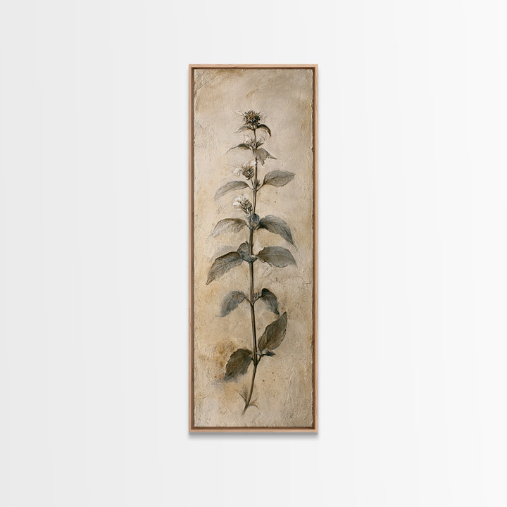 Black and White Botanical Specimen Plate Canvas Print, Black and White Art, Canvas Print, Living Room Decor, Oil Painting, BAW-1x3-59