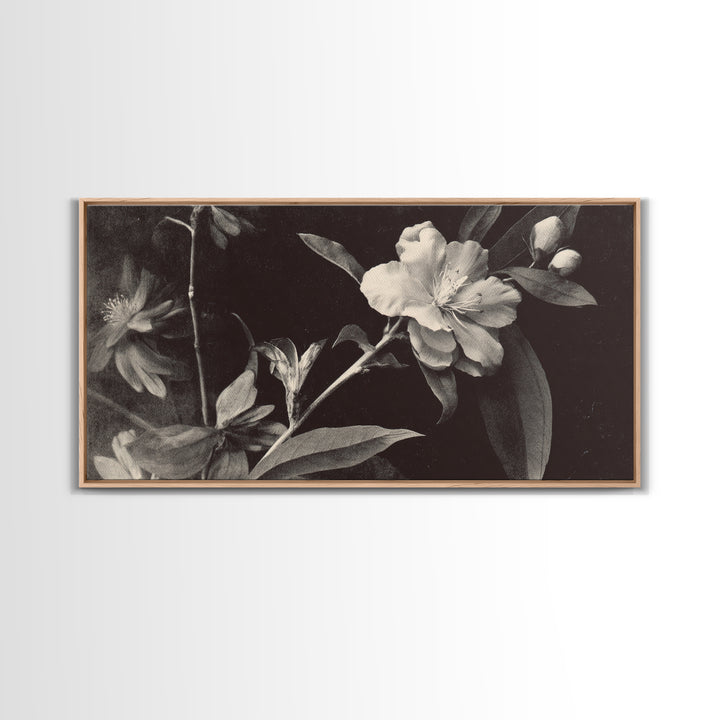 Black and White Botanical Specimen Plate Canvas Print, Black and White Art, Cabin Decor, Living Room Decor, Monochrome, BAW-2x1-19