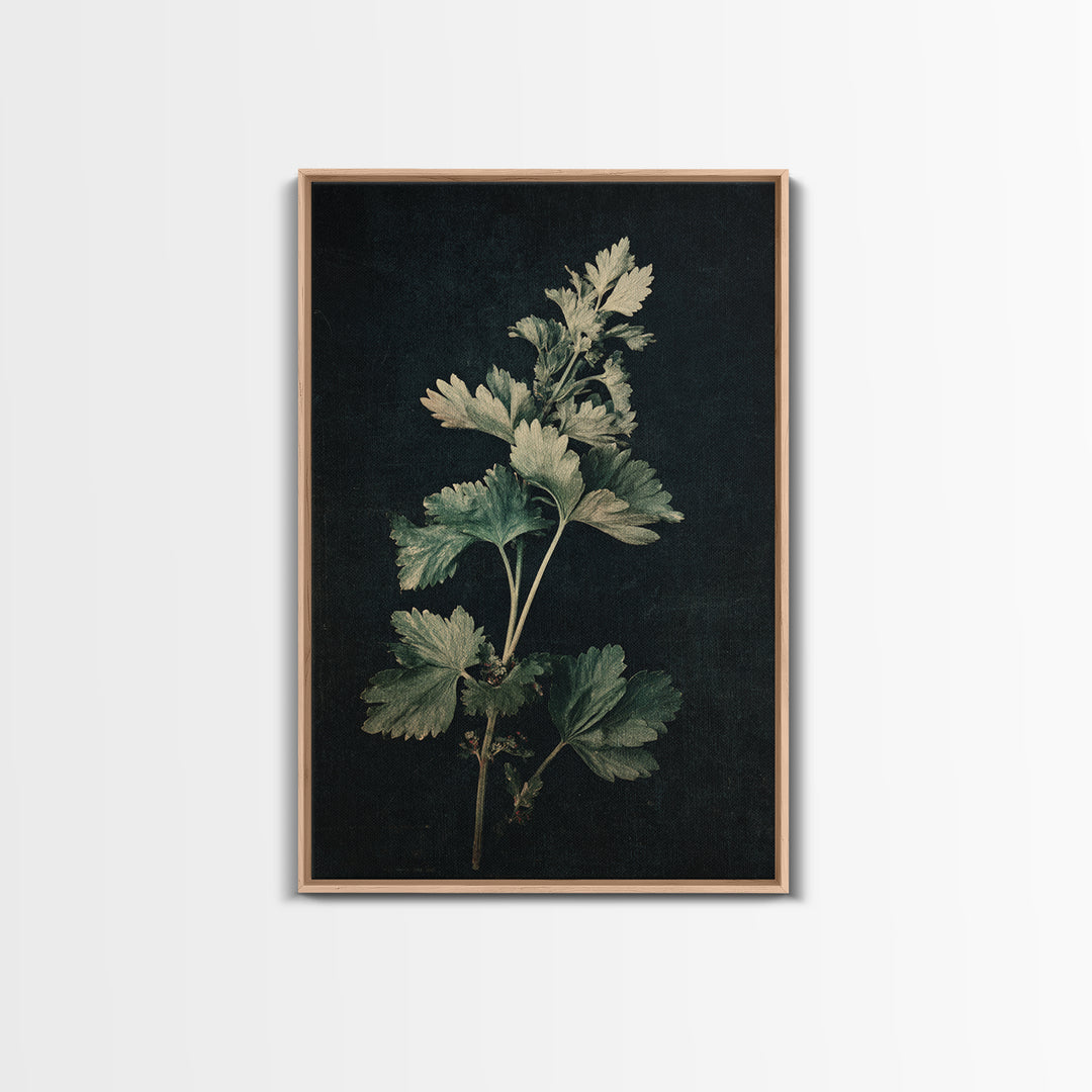 Black and White Botanical Specimen Plate Canvas Print, Black and White Art, Fine Art Print, Living Room Decor, Monochrome, BAW-2x3-7