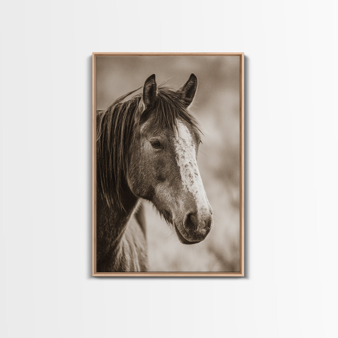 Black and White Wild Horse Portrait Framed Canvas Print, Black and White Art, Canvas Print, Living Room Decor, Monochrome, BAW-2x3-85