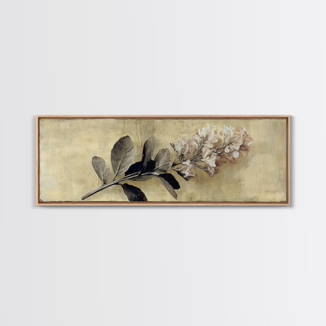 Black and White Botanical Specimen Plate Canvas Print, Black and White Art, Gallery Decor, Living Room Decor, Monochrome, BAW-3x1-15