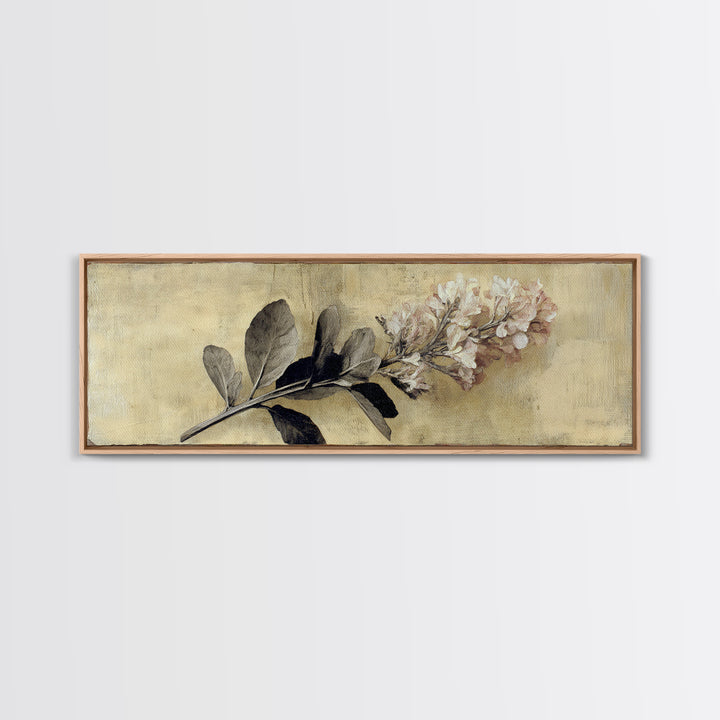 Black and White Botanical Specimen Plate Canvas Print, Black and White Art, Gallery Decor, Living Room Decor, Monochrome, BAW-3x1-15
