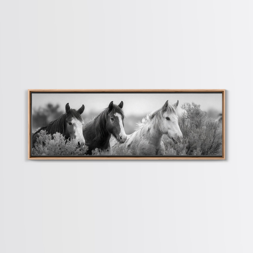 Black and White Wild Horse Portrait Framed Canvas Print, Black and White Art, Gallery Decor, Living Room Decor, Monochrome, BAW-3x1-69