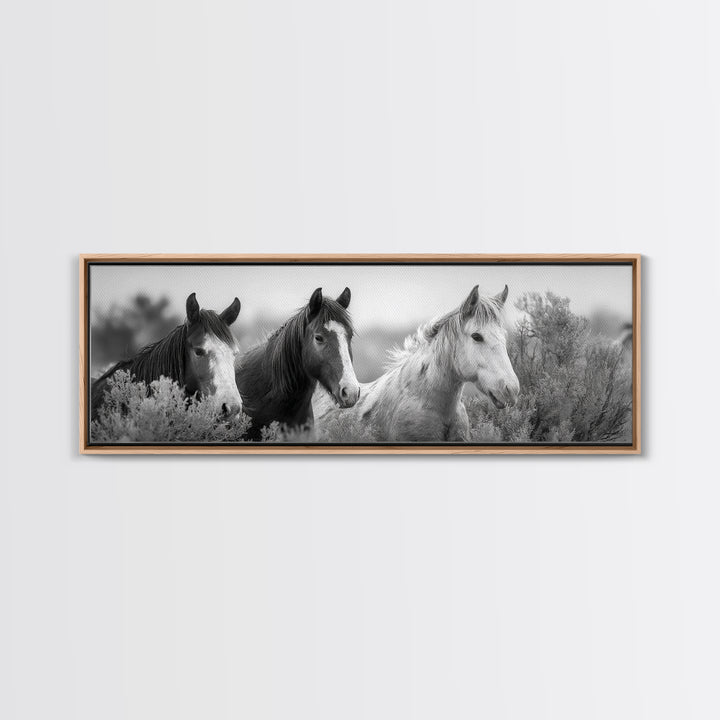 Black and White Wild Horse Portrait Framed Canvas Print, Black and White Art, Gallery Decor, Living Room Decor, Monochrome, BAW-3x1-69
