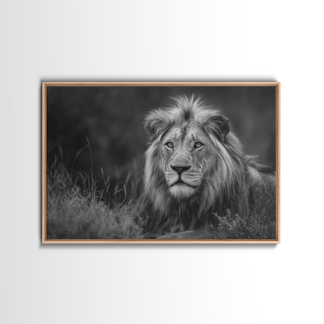 Dramatic Black and White Lion Portrait Canvas Print, Black and White Art, Photography Prints, Living Room Decor, Monochrome, BAW-3x2-21
