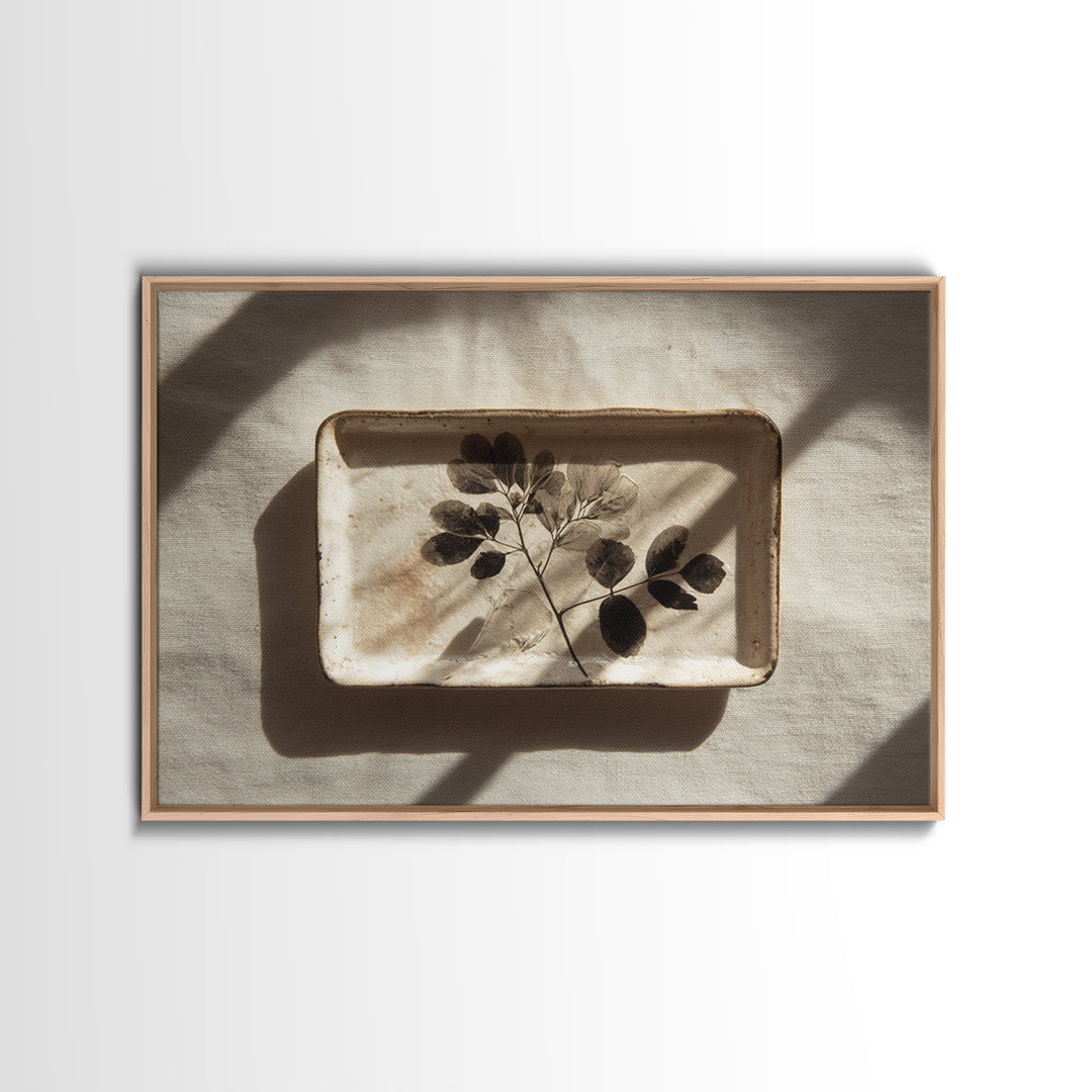Black and White Botanical Specimen Plate Canvas Print, Black and White Art, Photography Prints, Living Room Decor, Monochrome, BAW-3x2-3