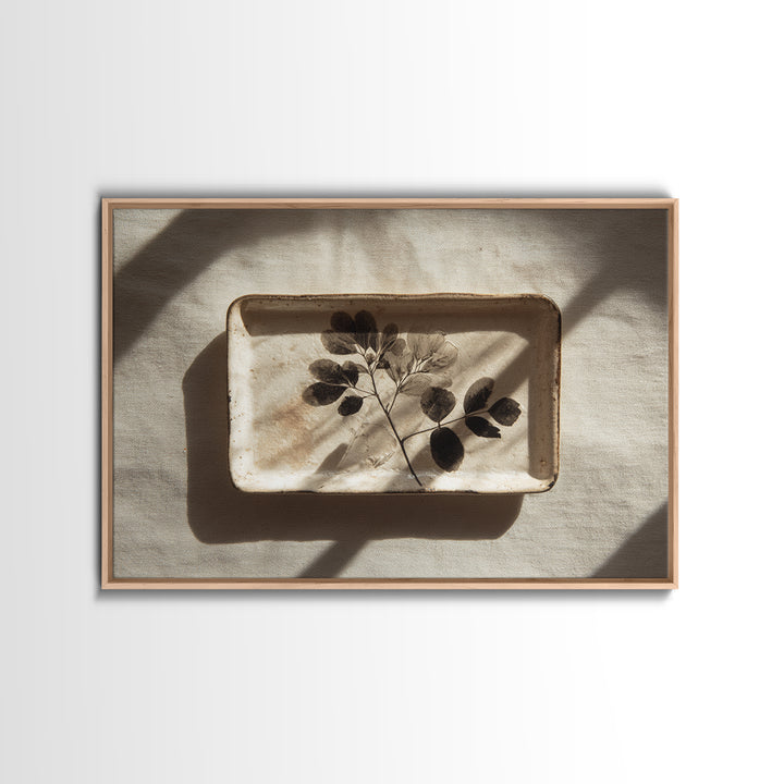 Black and White Botanical Specimen Plate Canvas Print, Black and White Art, Photography Prints, Living Room Decor, Monochrome, BAW-3x2-3