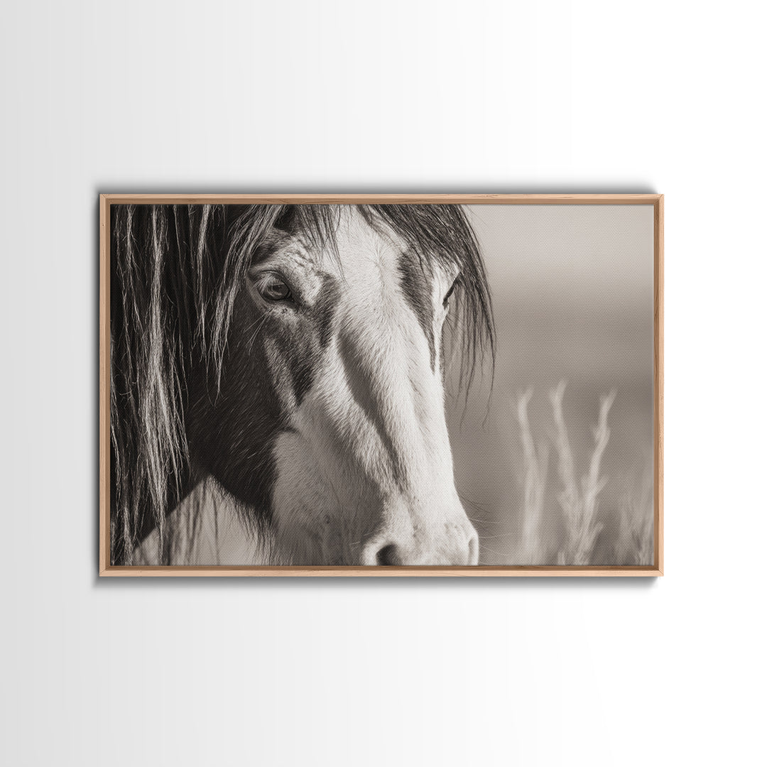 Black and White Wild Horse Portrait Canvas Print, Black and White Art, Fine Art Print, Living Room Decor, Monochrome, BAW-3x2-81