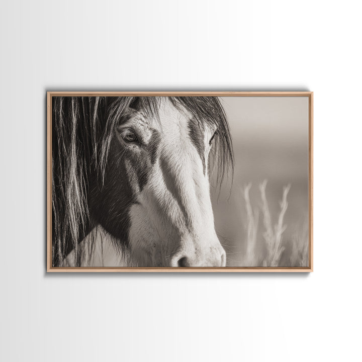 Black and White Wild Horse Portrait Canvas Print, Black and White Art, Fine Art Print, Living Room Decor, Monochrome, BAW-3x2-81