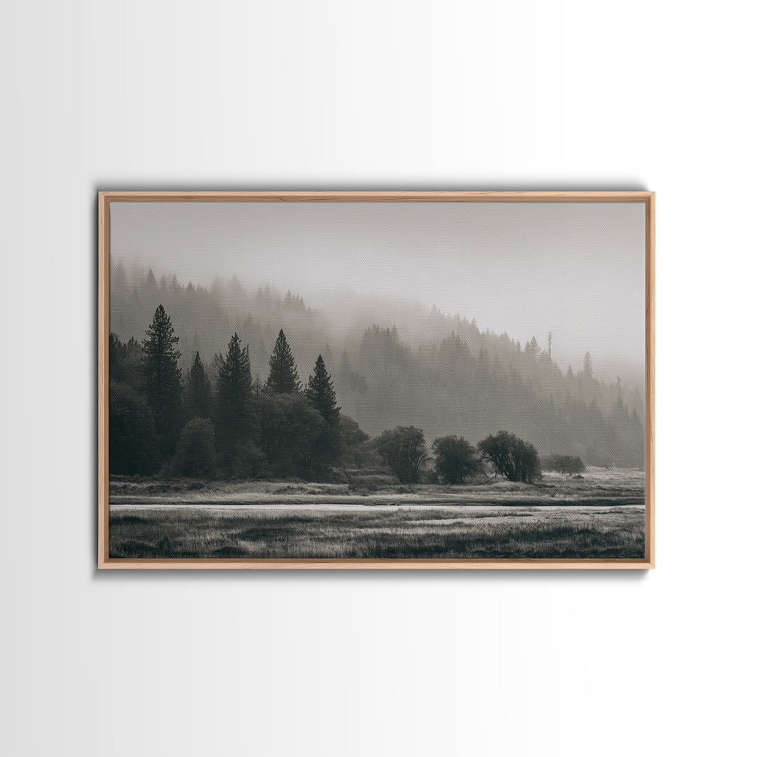 Moody Foggy Forest Canvas Print, Black and White Art, Gothic Decor, Living Room Decor, Oil Painting, Monochrome, BAW-3x2-83