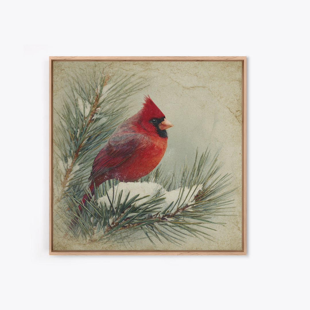 Red Cardinal on Snowy Pine Branch Framed Canvas Print, Bird Art, Nature Wall Art, Living Room Decor, Watercolor Art, Flight, BIR-1x1-1