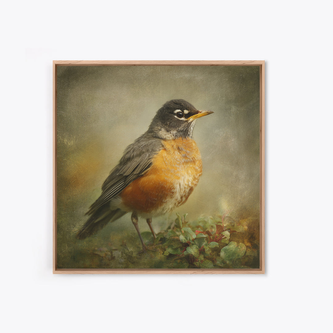 Robin in a Spring Garden with Soft Canvas Print, Bird Art, Japanese Wall Art, Living Room Decor, Watercolor Art, Flight, BIR-1x1-15