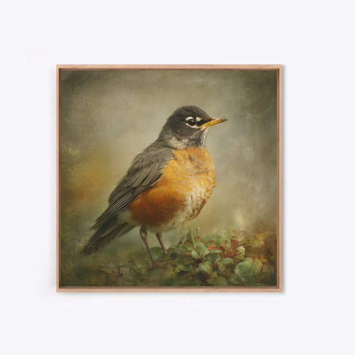 Robin in a Spring Garden with Soft Canvas Print, Bird Art, Japanese Wall Art, Living Room Decor, Watercolor Art, Flight, BIR-1x1-15