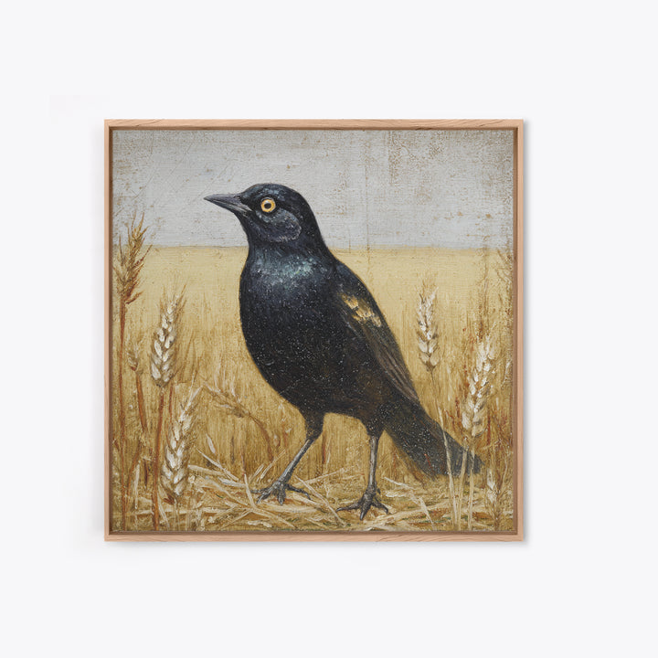 Blackbird on Gold Wheat Field Framed Canvas Print, Bird Art, Nature Prints, Living Room Decor, Watercolor Art, Flight, BIR-1x1-24