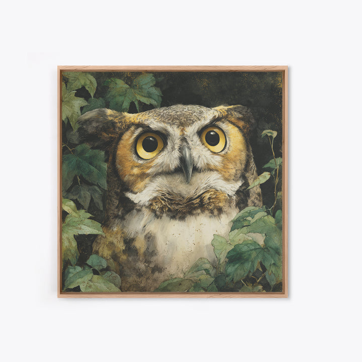 Owl Portrait with Wise Golden Eyes Framed Canvas Print, Bird Art, Fine Art Print, Living Room Decor, Fine Art, Flight, BIR-1x1-29
